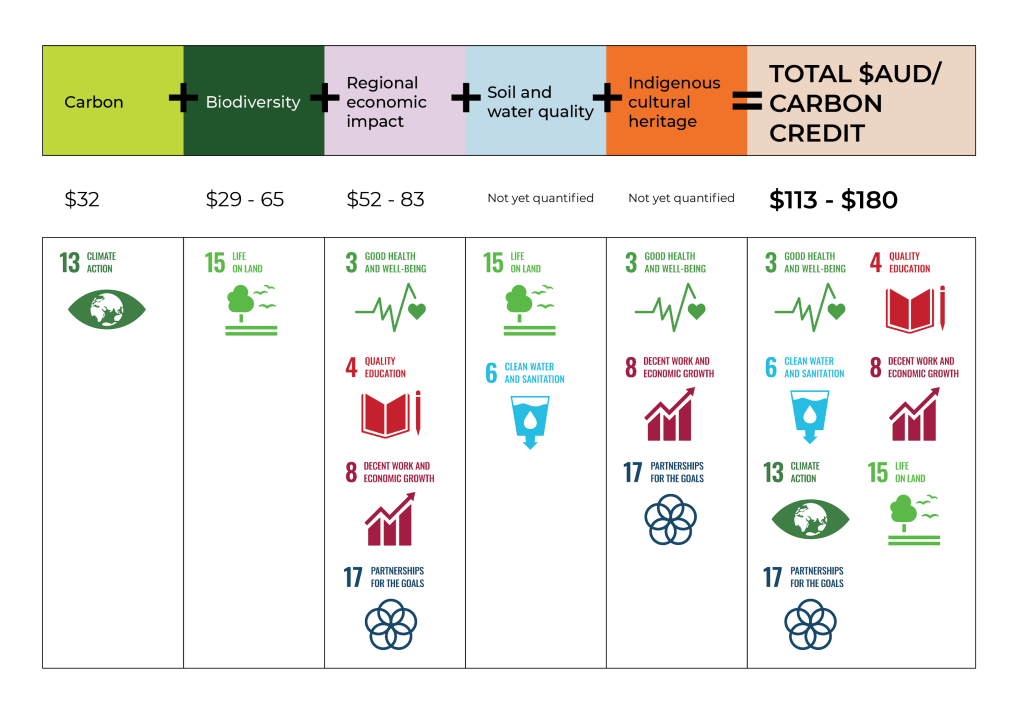 yybc co benefits table