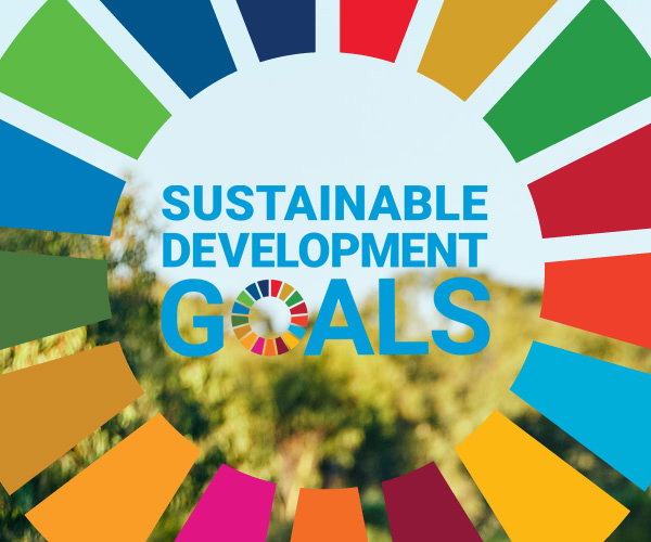 How can you contribute to the UN Sustainable Development Goals? - Carbon  Neutral Blog