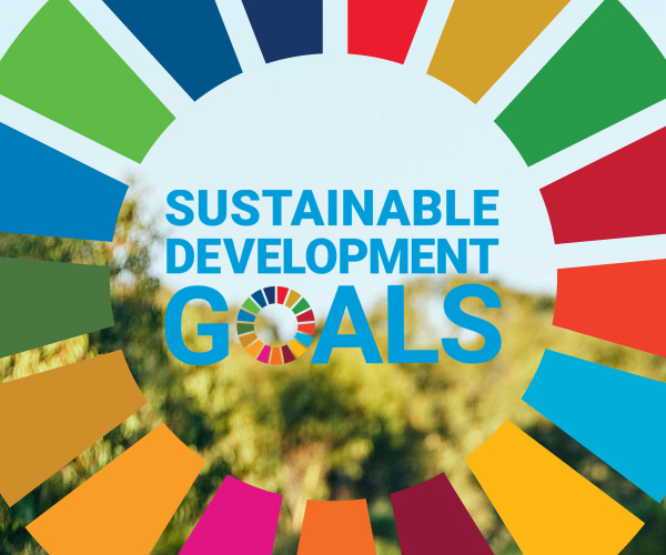 How Can You Contribute To The UN Sustainable Development Goals ...